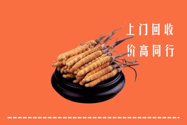 附近收购：南山区冬虫夏草回收多少钱每克