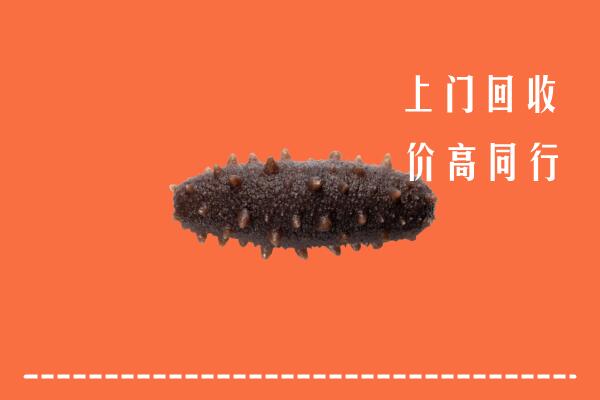 南山区回收海参