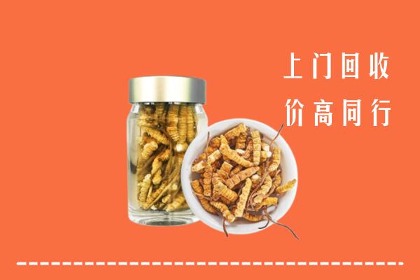 南山区回收冬虫夏草